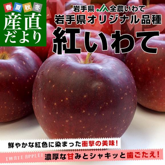 岩手県より産地直送 JA全農いわて 岩手県オリジナル品種 紅いわて 等級：特以上 約5キロ (14玉から20玉) 送料無料 林檎 りんごリンゴ02