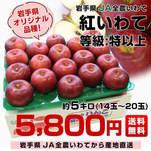 岩手県より産地直送 JA全農いわて 岩手県オリジナル品種 紅いわて 等級：特以上 約5キロ (14玉から20玉) 送料無料 林檎 りんごリンゴ03