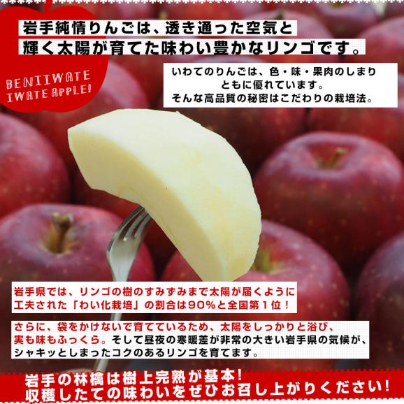 岩手県より産地直送 JA全農いわて 岩手県オリジナル品種 紅いわて 等級：特以上 約5キロ (14玉から20玉) 送料無料 林檎 りんごリンゴ05