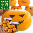 和歌山県より産地直送 JA紀の里 たねなし柿 ３Lサイズ 2箱セット 合計３キロ (約1.5キロ×2箱）送料無料 カキ かき 柿