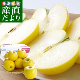 岩手県より産地直送 JAいわて中央 こうこう 5キロ (14から20玉) 送料無料 林檎 りんご リンゴ