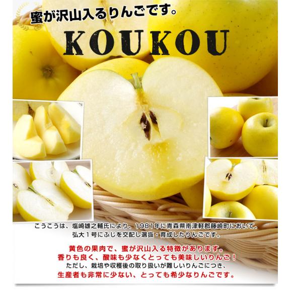 岩手県より産地直送 JAいわて中央 こうこう 5キロ (14から20玉) 送料無料 林檎 りんご リンゴ05