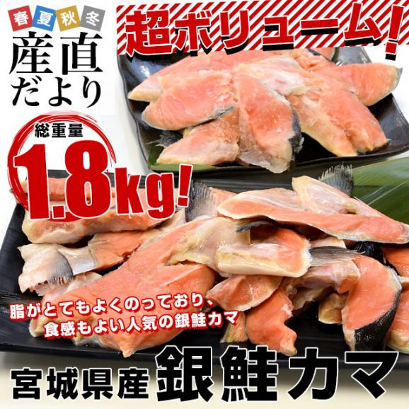 宮城県産 銀鮭のカマ 超ボリューム1.8キロ （360g×5袋）送料無料 ぎんさけ さけかま02