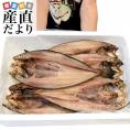 北海道より直送　北海道礼文島　真ホッケ開き　250g×5尾セット まほっけ