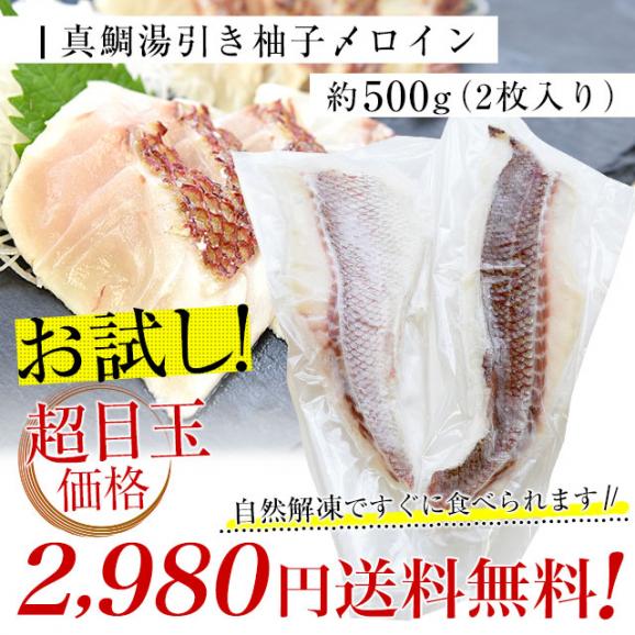 熊本県　天草から　産地直送品！極上の熊本天草の真鯛「真鯛湯引き柚子〆ロイン」約500g（2枚入り）03