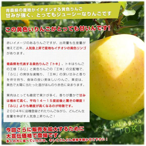 青森県より産地直送 JAつがる弘前 トキ 超大玉 5キロ (9玉から10玉) 送料無料 りんご リンゴ 林檎04