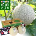 熊本県産 高級マスクメロン アールスメロン　合計3キロ 化粧箱(２玉入り) 送料無料 メロン JA熊本市 JA鹿本 JA熊本うき