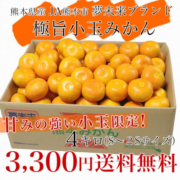 熊本県産 JA熊本市 夢未来みかん 小玉Sから２Sサイズ　4キロ（48玉から65玉前後）送料無料 市場発送03