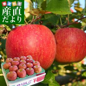 岩手県より産地直送　JAいわて中央 特別栽培りんご「サンふじ」 5キロ (14玉から20玉) 送料無料 林檎 りんご リンゴさんふじ