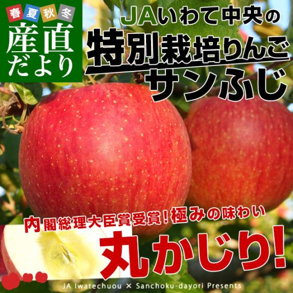 岩手県より産地直送　JAいわて中央 特別栽培りんご「サンふじ」 5キロ (14玉から20玉) 送料無料 林檎 りんご リンゴさんふじ02