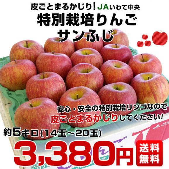 岩手県より産地直送　JAいわて中央 特別栽培りんご「サンふじ」 5キロ (14玉から20玉) 送料無料 林檎 りんご リンゴさんふじ03