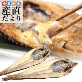 希少な北海道の味わい！脂たっぷりの八角の開き