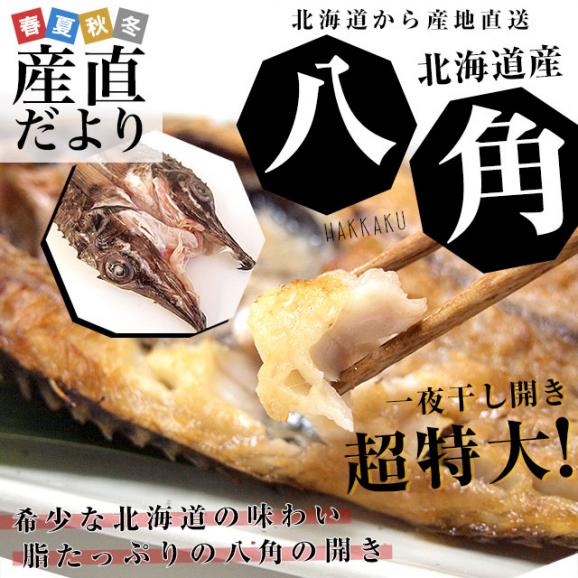 北海道から直送　北海道産高級魚「八角（はっかく）」の開き 超特大400g×2尾　送料無料 はちかく02