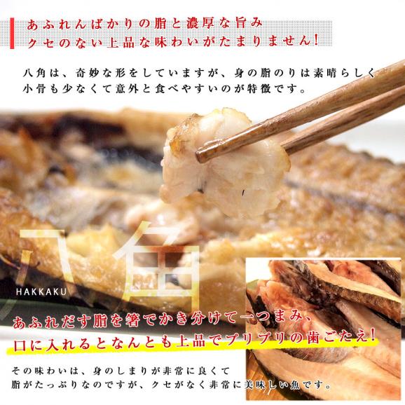 北海道から直送　北海道産高級魚「八角（はっかく）」の開き 超特大400g×2尾　送料無料 はちかく05