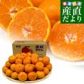 和歌山県より産地直送 田村出荷組合 田村みかん（早生温州みかん） 秀品 2Sサイズ 小玉5キロ（70玉前後）送料無料 有田 柑橘