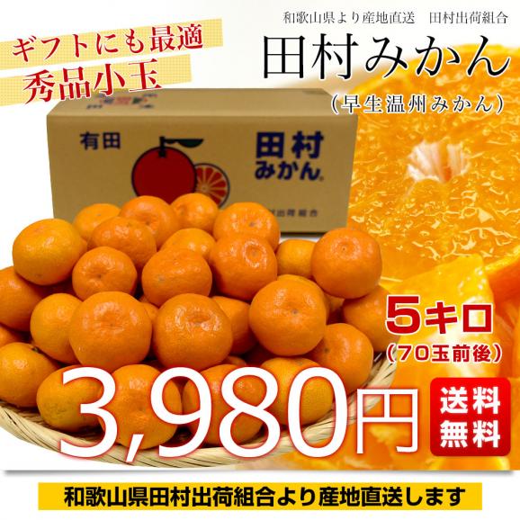 和歌山県より産地直送 田村出荷組合 田村みかん（早生温州みかん） 秀品 2Sサイズ 小玉5キロ（70玉前後）送料無料 有田 柑橘03