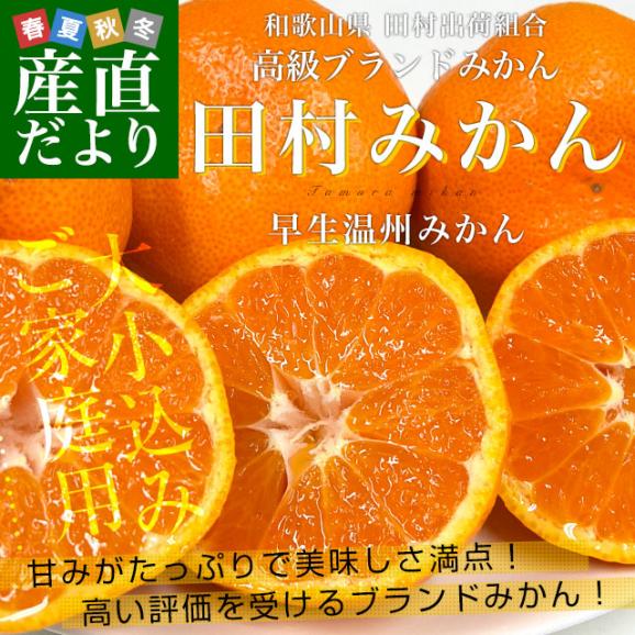 和歌山県より産地直送 田村出荷組合 田村みかん（早生温州みかん） ご家庭用5キロ（大小込み）送料無料 有田 柑橘02