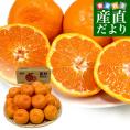 和歌山県より産地直送 田村出荷組合 田村みかん（早生温州みかん） ご家庭用 2Lサイズ 5キロ(30玉前後) 送料無料 有田 柑橘