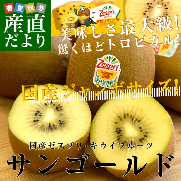 今年も話題の ゼスプリ・キウイフルーツ 国産 サンゴールドキウイ 15 ジャンボ 果物