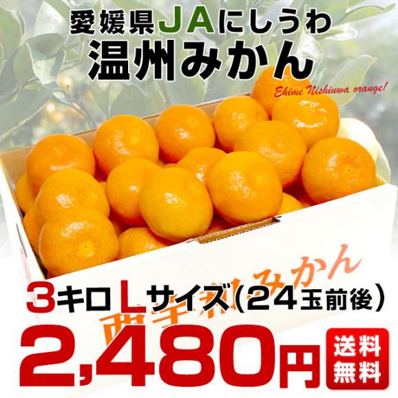 愛媛県より産地直送 JAにしうわ 西宇和温州みかん 3キロ Lサイズ (24玉前後) 送料無料 蜜柑 ミカン03