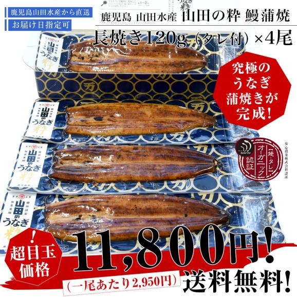 鹿児島県産 山田水産の極上国産うなぎ蒲焼「山田の粋（やまだのいき）」長焼（120g×4尾）送料無料 鰻蒲焼 ウナギ ※クール冷凍便03