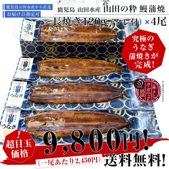 鹿児島県産 山田水産の極上国産うなぎ蒲焼「山田の粋（やまだのいき）」長焼（120g×4尾）送料無料 鰻蒲焼 ウナギ ※クール冷凍便03