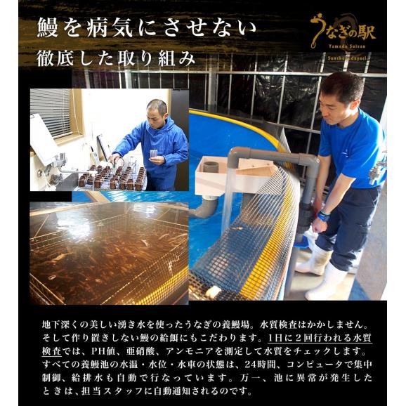鹿児島県産 山田水産の極上国産うなぎ蒲焼「山田の粋（やまだのいき）」長焼（120g×4尾）送料無料 鰻蒲焼 ウナギ ※クール冷凍便05