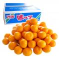 長崎県産 JAながさき西海 西海みかん 味っ子 Ｓサイズ 5キロ （秀品）送料無料 市場発送 みかん 早生みかん  （60玉前後） 蜜柑 ミカン 早生みかん 送料無料