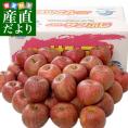 福島県 JAふくしま未来「サンふじりんご」 秀品 10キロ(32玉から40玉前後) 送料無料 林檎 リンゴ 市場発送