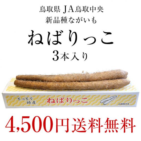 鳥取県より産地直送 JA鳥取中央 とっとりの特産品　新品種ながいも「ねばりっこ」（800g以上×3本入り） 送料無料 ナガイモ 長芋 とろろ03