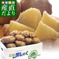 北海道産 JAきたみらい他 じゃがいも男爵 超特大３Lサイズ 10キロ(35玉前後) 送料無料 じゃがいも だんしゃく 馬鈴薯