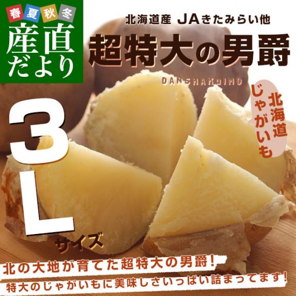 北海道産 JAきたみらい他 じゃがいも男爵 超特大３Lサイズ 10キロ(35玉前後) 送料無料 じゃがいも だんしゃく 馬鈴薯02