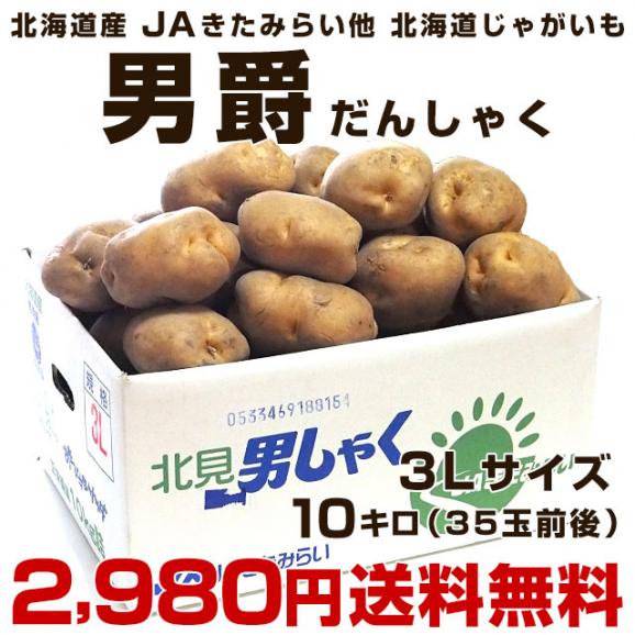 北海道産 JAきたみらい他 じゃがいも男爵 超特大３Lサイズ 10キロ(35玉前後) 送料無料 じゃがいも だんしゃく 馬鈴薯03