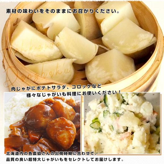 北海道産 JAきたみらい他 じゃがいも男爵 超特大３Lサイズ 10キロ(35玉前後) 送料無料 じゃがいも だんしゃく 馬鈴薯05