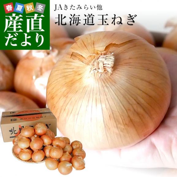 北海道産 JAきたみらい他 北海道玉ねぎ Lサイズ 10キロ(40玉から