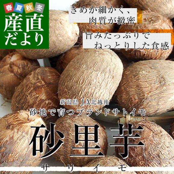 新潟県より産地直送 JA北越後 砂里芋（さりいも） 特大２Lサイズ 2.5キロ (30玉前後) 送料無料 里芋 さといも02