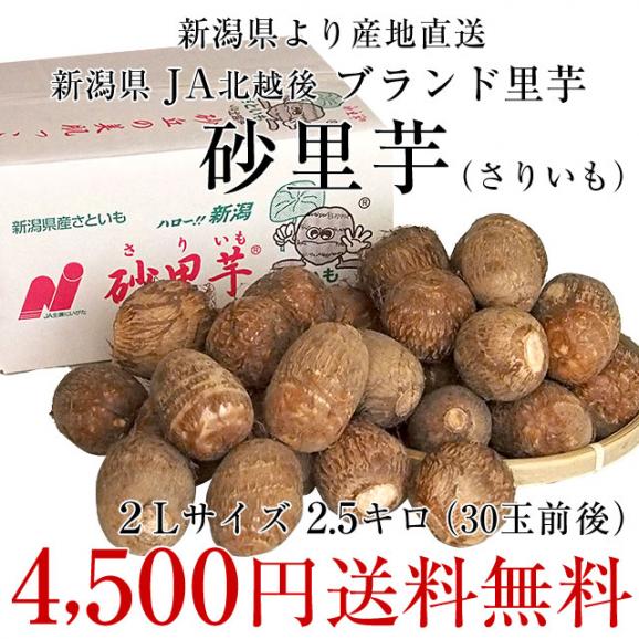 新潟県より産地直送 JA北越後 砂里芋（さりいも） 特大２Lサイズ 2.5キロ (30玉前後) 送料無料 里芋 さといも03