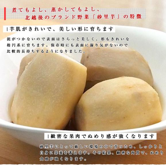 新潟県より産地直送 JA北越後 砂里芋（さりいも） 特大２Lサイズ 2.5キロ (30玉前後) 送料無料 里芋 さといも06