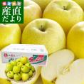 青森県より産地直送 高木商店 マルタカブランド 高木の王林 味優先の理由あり 5キロ (16玉から20玉入) 送料無料 林檎 リンゴ 津軽 弘前