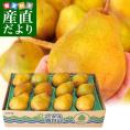 山形県産 JAさがえ西村山他 洋梨シルバーベル 秀 5キロ (9玉から14玉) 送料無料 洋梨　ようなし