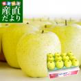 青森県より産地直送 JAつがる弘前 「王林」 約3キロ (9玉から13玉) 送料無料 りんご 林檎 リンゴ 津軽