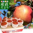 青森県より産地直送 JAつがる弘前 サンふじ 超大玉 5キロ (9玉から10玉) 送料無料 りんご リンゴ 林檎