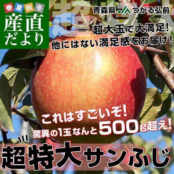青森県より産地直送 JAつがる弘前 サンふじ 超大玉 5キロ (9玉から10玉) 送料無料 りんご リンゴ 林檎02