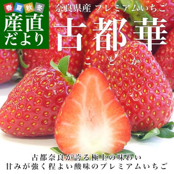 奈良県産 古都華（ことか） 秀品 270g×２P 化粧箱入り (11粒から15粒) いちご 苺 コトカ 送料無料 大田市場発送02