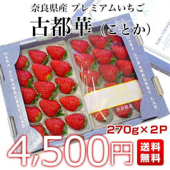 奈良県産 古都華（ことか） 秀品 270g×２P 化粧箱入り (11粒から15粒) いちご 苺 コトカ 送料無料 大田市場発送03