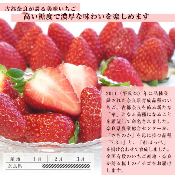奈良県産 古都華（ことか） 秀品 270g×２P 化粧箱入り (11粒から15粒) いちご 苺 コトカ 送料無料 大田市場発送05