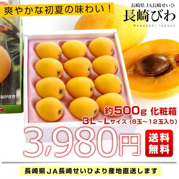 長崎県より産地直送 JA長崎せいひ 長崎びわ 500g化粧箱 3LからLサイズ (8玉から12玉) 送料無料 枇杷 長崎ビワ 茂木びわ03