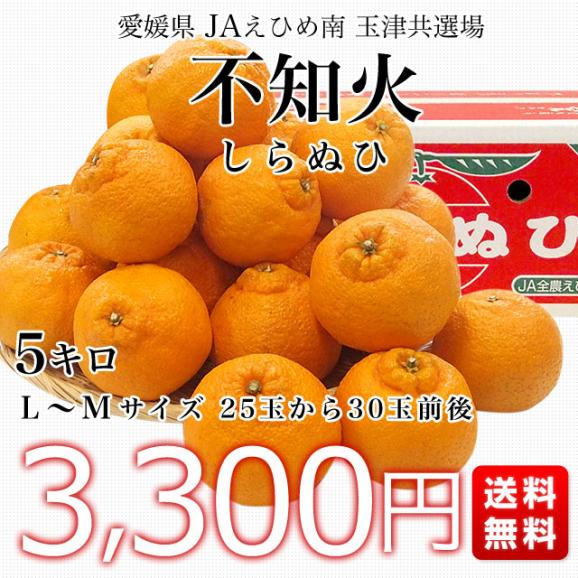 愛媛県より産地直送 JAえひめ南 不知火（しらぬひ）LからMサイズ　5キロ（25玉から30玉前後）しらぬい 柑橘 送料無料03