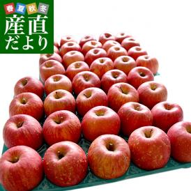 青森県産 JA津軽みらい ツル割れ・サンふじ  10キロ（32玉から50玉前後) 送料無料 市場発送 リンゴ 林檎 りんご