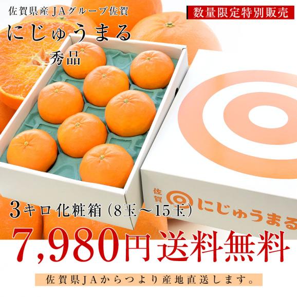 佐賀県より産地直送　 JAグループ佐賀 にじゅうまる 3キロ化粧箱 （8玉から15玉) 送料無料 柑橘 二重丸 中晩柑 みかん03